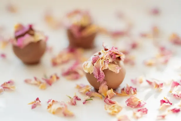 Kasino Fantastic Spins Android/iOS Sovellus